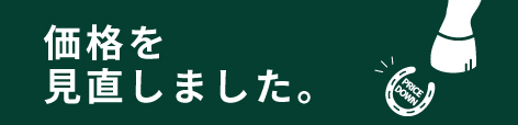 価格を見直しました。ネットショップ限定販売
